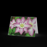 Trio of Clematis Mother's Day Card