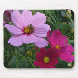 Trio of Cosmos - Busy Bee mousepad