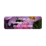 Trio of Cosmos Custom Return Address Label