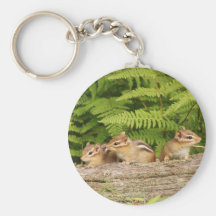 Trio of Curious Baby Chipmunks Key Chain