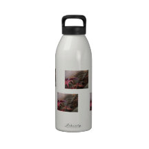 Trio of Diamond Drops Water Bottle