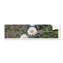 Trio of flowers bumper sticker