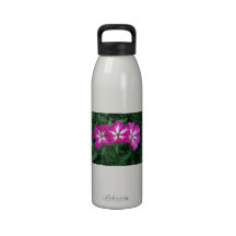 Trio of Hot Pink Phlox Water Bottle