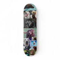 Trio of Labradors Skateboard