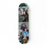 Trio of Labradors Skateboard