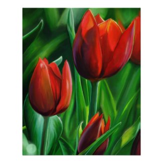 Trio of Red Tulips flower nature digital painting