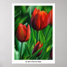 Trio of Red Tulips flower nature digital painting Print