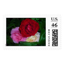 Trio of Roses stamp