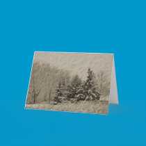 Trio of Trees - Holiday Card cards