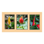Trio of Tropical Flowers Photo Card