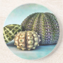 Trio of Urchins coasters