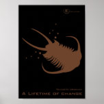 Triolobite Ordovici Poster