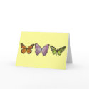 Triple Butterfly Card by jduncan29 Triple Butterfly Card