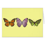 Triple Butterfly Card
