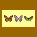 Triple Butterfly Poster Horizontal posters by jduncan29 Triple Butterfly Poster Horizontal posters