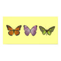 Triple Butterfly Poster Horizontal posters by jduncan29 Triple Butterfly Poster Horizontal posters