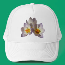 Triple Crocus ~ hat