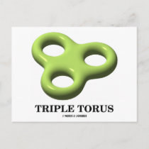 Triple Torus