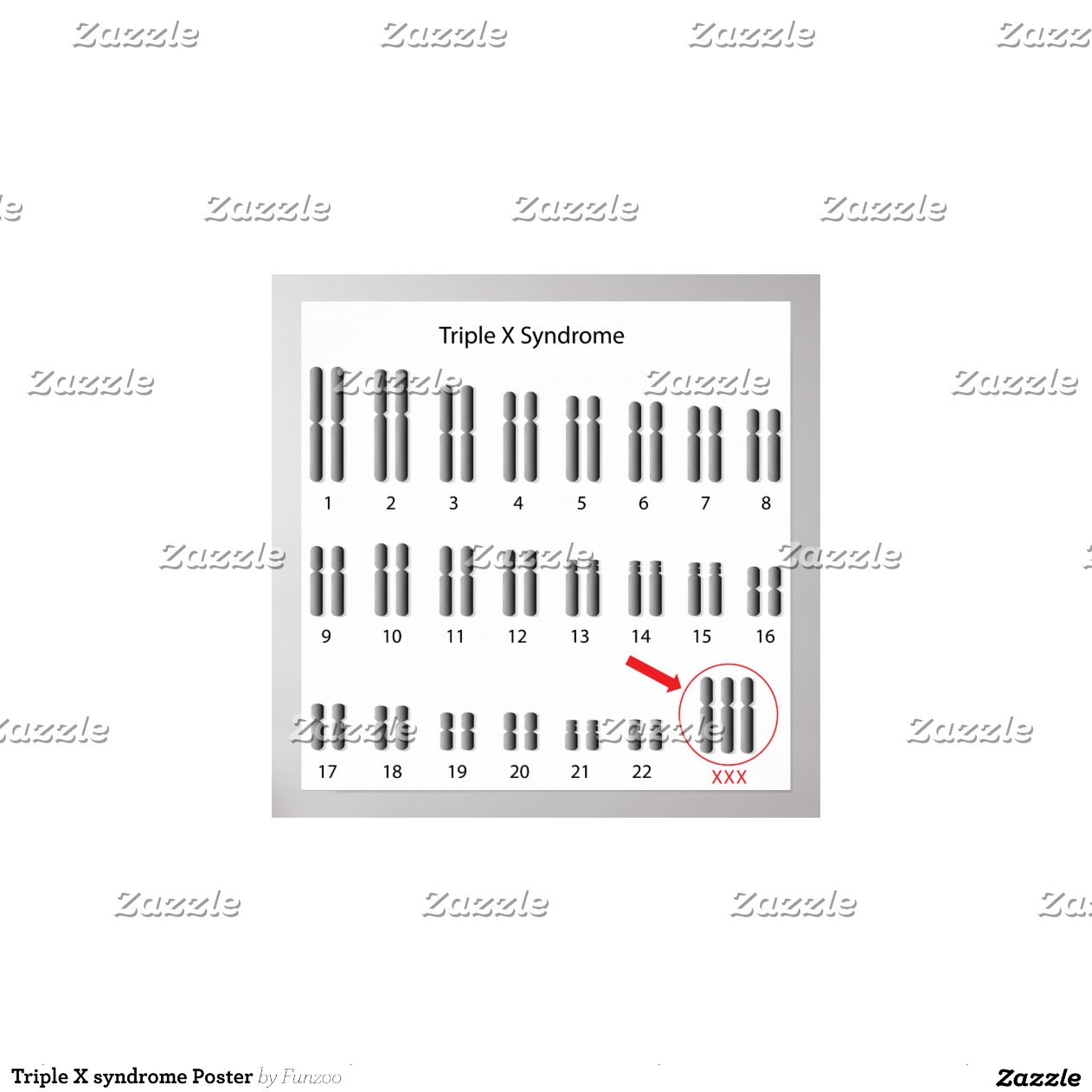 Triple X syndrome Poster Zazzle