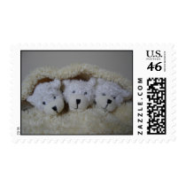 triplet baby bears postage