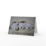 triplet bears congratulations greeting card
