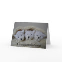 triplet bears congratulations cards by littlemunchkins triplet bears congratulations cards