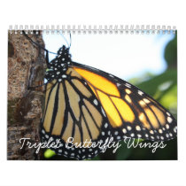 Triplet Butterfly Wings Wall Calendar