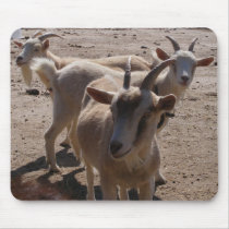 Triplet kids mousepads