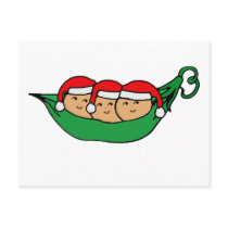 Triplets Christmas Pod Graphic postcards