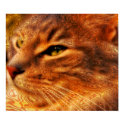 Trippy Kitty posters