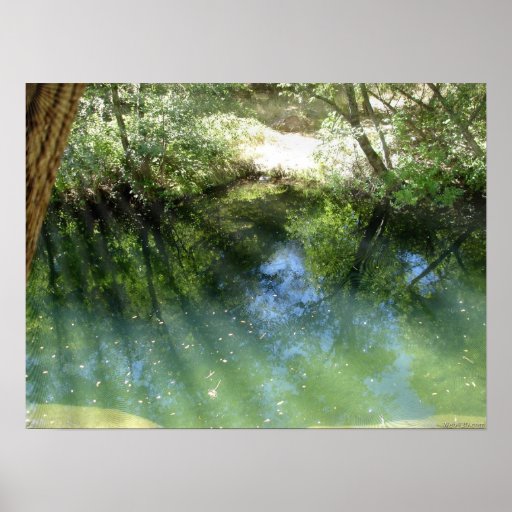 trippy psychedelic water posters