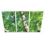 Triptych Forest