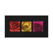 Triptych Roses orange yellow pink Gallery Wrapped Canvas