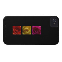 Triptych Roses orange yellow pink iPhone 4 Case-Mate Case