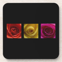 Triptych Roses orange yellow pink Beverage Coasters