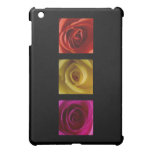 Triptych Roses orange yellow pink Cover For The iPad Mini