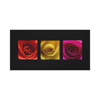 Triptych Roses orange yellow pink Panoramic wrappedcanvas