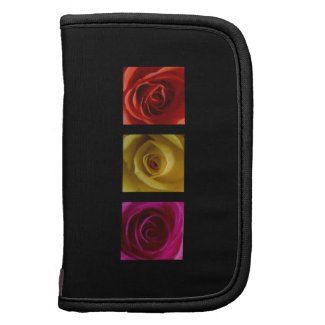 Triptych Roses orange yellow pink Organizers