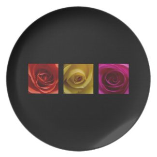 Triptych Roses orange yellow pink plate
