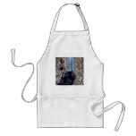 Trish Biddle New York Black Dress aprons