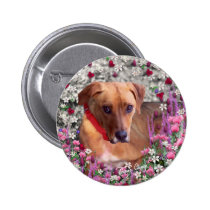 Trista in Flowers Button buttons