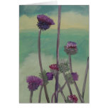 "Tristan's Thistles" Cards