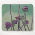 Tristan's Thistles mousepads by susanpaynetrutna Tristan's Thistles mousepads