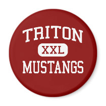Triton - Mustangs - High - Runnemede New Jersey magnets