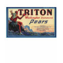 triton pears t-shirts
