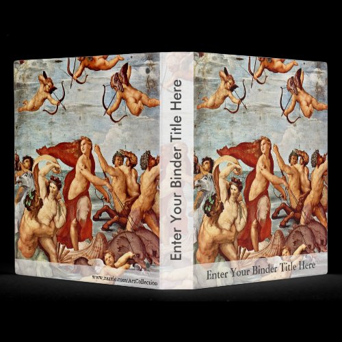 Triumph Of Galatea,  By Raffael (Best Quality) Vinyl Binders