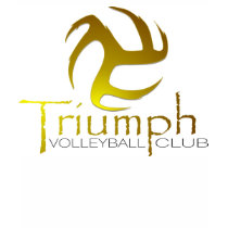 Triumph Sports Shirt