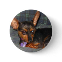 Trixie2 Button