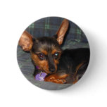 Trixie2 buttons