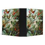 Trochilidae Hummingbirds, Ernst Haeckel Binder
